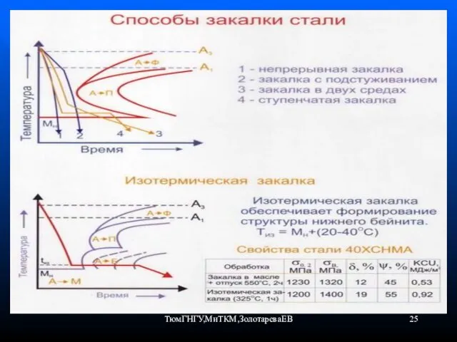 ТюмГНГУ,МиТКМ,ЗолотареваЕВ