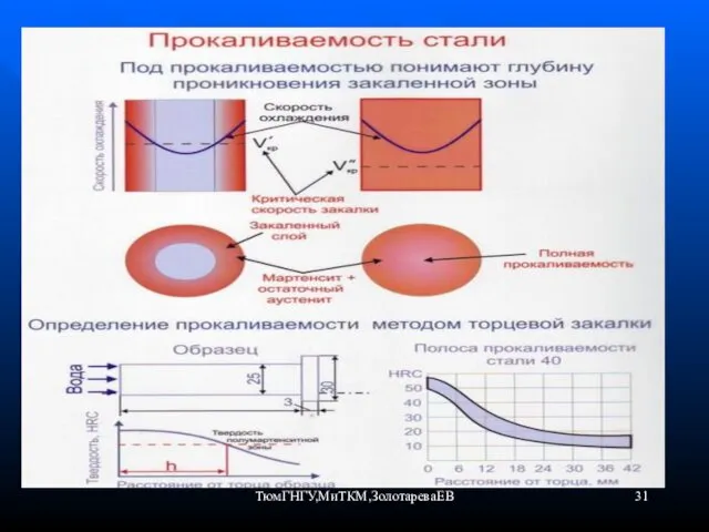 ТюмГНГУ,МиТКМ,ЗолотареваЕВ