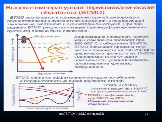 ТюмГНГУ,МиТКМ,ЗолотареваЕВ