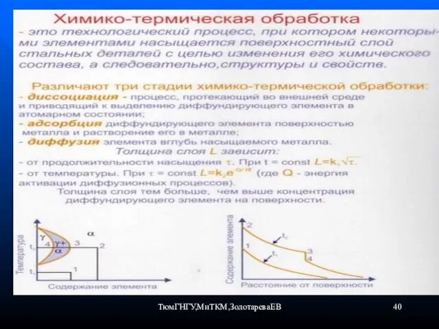 ТюмГНГУ,МиТКМ,ЗолотареваЕВ