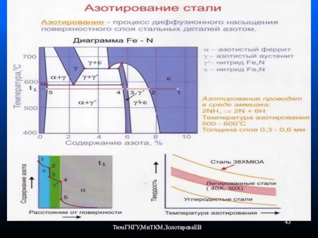 ТюмГНГУ,МиТКМ,ЗолотареваЕВ