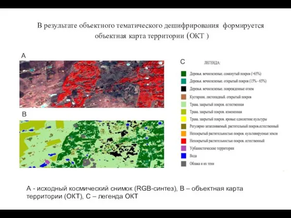 В результате объектного тематического дешифрирования формируется объектная карта территории (ОКТ )