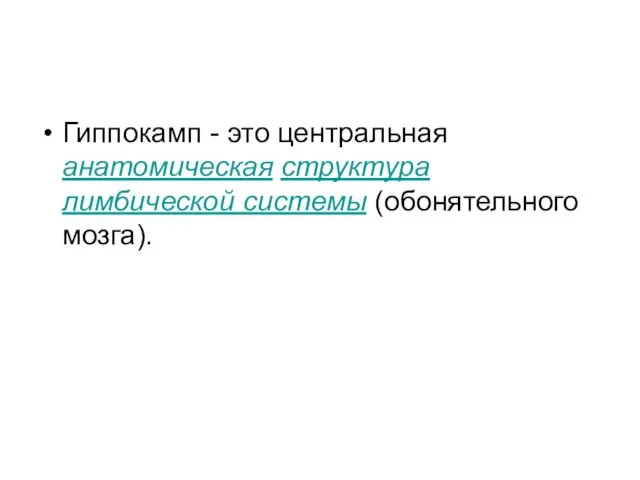 Гиппокамп - это центральная анатомическая структура лимбической системы (обонятельного мозга).