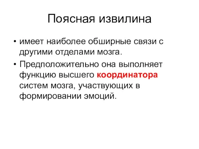 Поясная извилина имеет наиболее обширные связи с другими отделами мозга. Предположительно