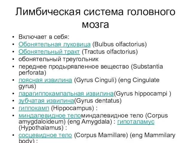 Лимбическая система головного мозга Включает в себя: Обонятельная луковица (Bulbus olfactorius)