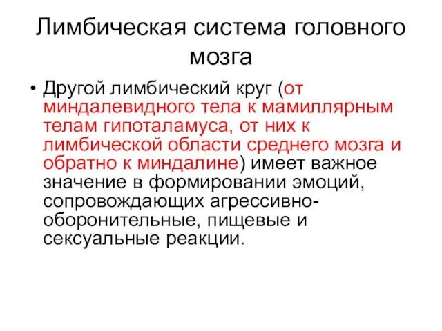 Лимбическая система головного мозга Другой лимбический круг (от миндалевидного тела к