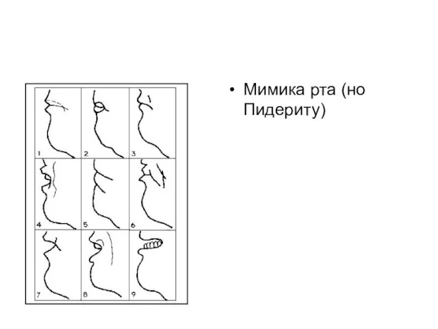 Мимика рта (но Пидериту)