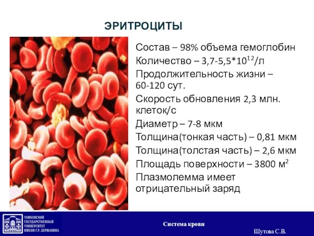 ЭРИТРОЦИТЫ Состав – 98% объема гемоглобин Количество – 3,7-5,5*1012/л Продолжительность жизни