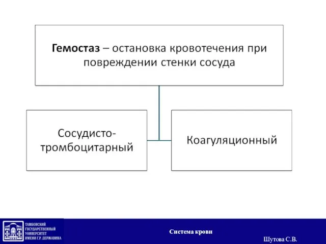 Система крови Шутова С.В.