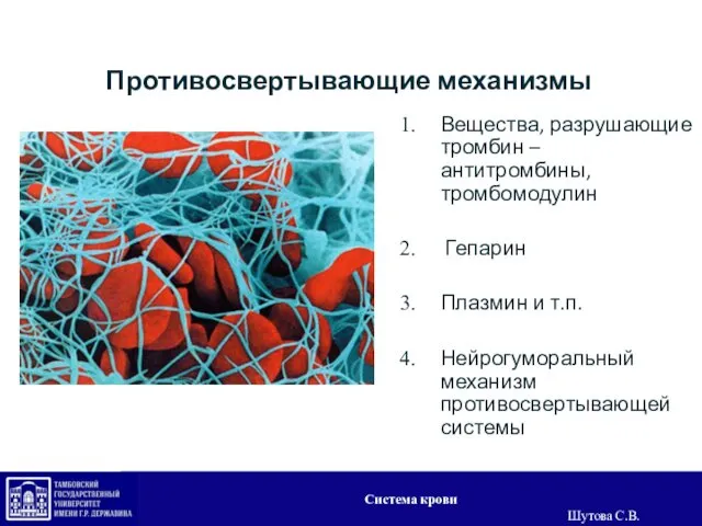 Противосвертывающие механизмы Вещества, разрушающие тромбин – антитромбины, тромбомодулин Гепарин Плазмин и