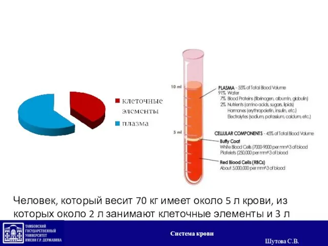 Человек, который весит 70 кг имеет около 5 л крови, из