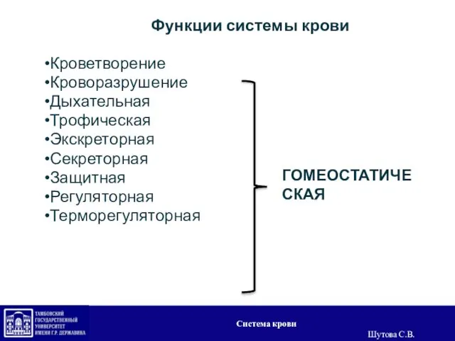 ГОМЕОСТАТИЧЕСКАЯ Функции системы крови Кроветворение Кроворазрушение Дыхательная Трофическая Экскреторная Секреторная Защитная