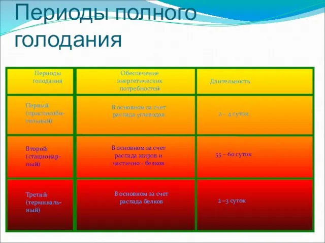 Периоды полного голодания Периоды голодания Обеспечение энергетических потребностей Длительность Первый (приспособи-