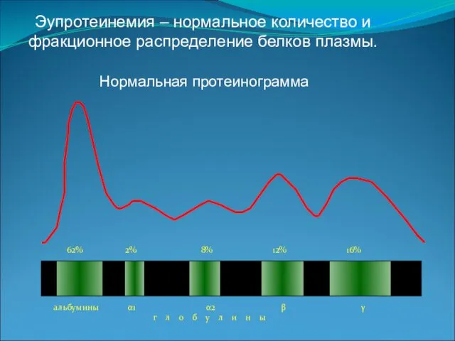 Эупротеинемия – нормальное количество и фракционное распределение белков плазмы. Нормальная протеинограмма