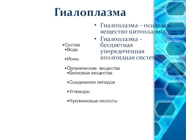 Гиалоплазма Гиалоплазма – основное вещество цитоплазмы. Гиалоплазма – бесцветная упорядоченная коллоидная