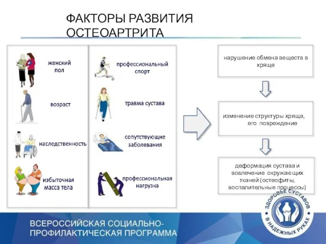 ФАКТОРЫ РАЗВИТИЯ ОСТЕОАРТРИТА нарушение обмена веществ в хряще изменение структуры хряща,