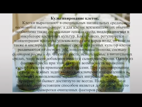 Культивирование клеток. Клетки выращивают в специальных питательных средах, при постоянной температуре,