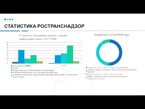 СТАТИСТИКА РОСТРАНСНАДЗОР