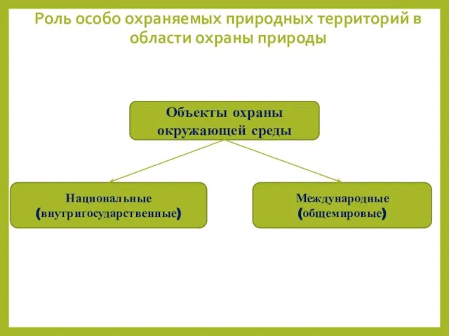 Объекты охраны окружающей среды Национальные (внутригосударственные) Международные (общемировые) Роль особо охраняемых