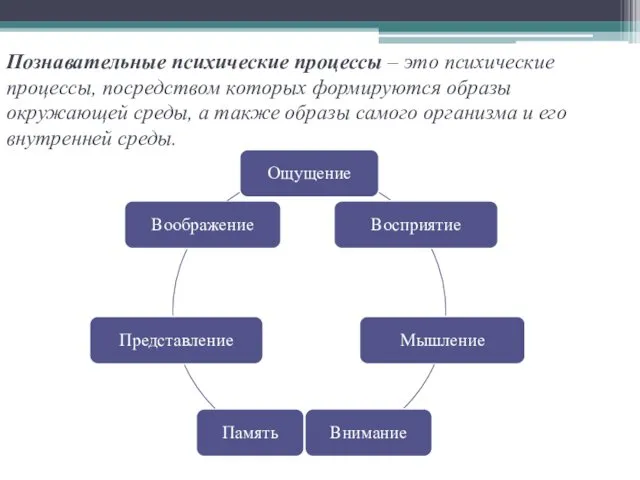 Познавательные психические процессы – это психические процессы, посредством которых формируются образы