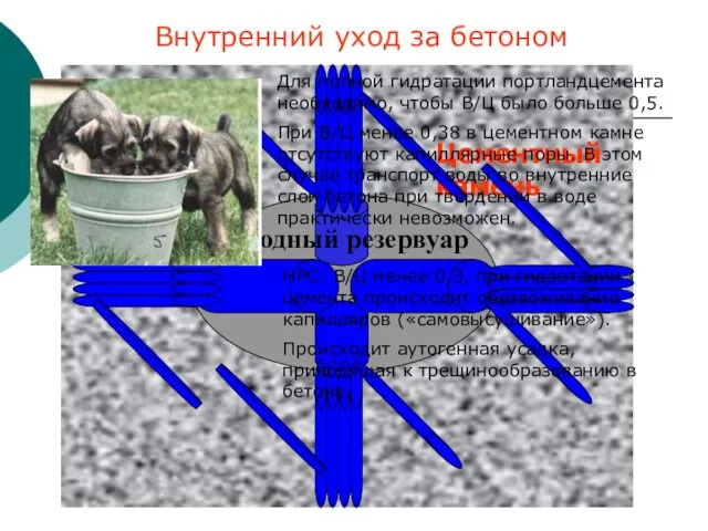 Внутренний уход за бетоном Для полной гидратации портландцемента необходимо, чтобы В/Ц