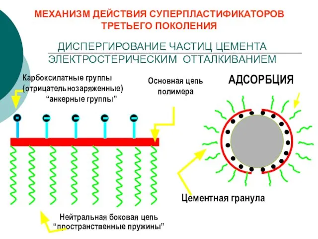 Основная цепь полимера Карбоксилатные группы (отрицательнозаряженные) “анкерные группы” Нейтральная боковая цепь