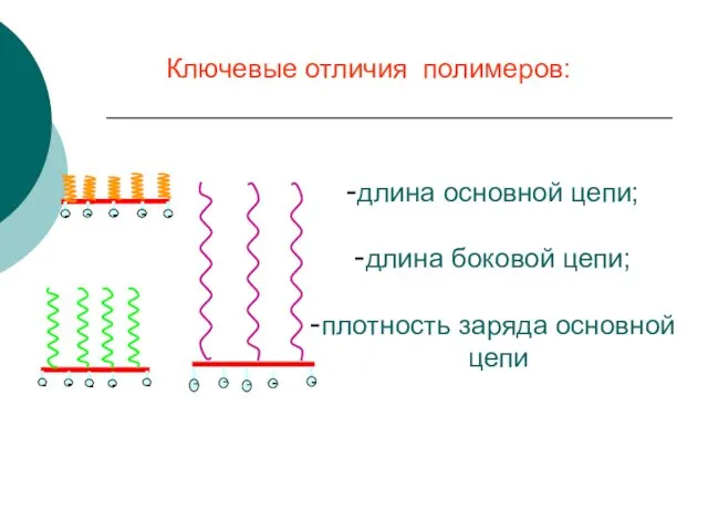 Ключевые отличия полимеров: длина основной цепи; длина боковой цепи; плотность заряда основной цепи
