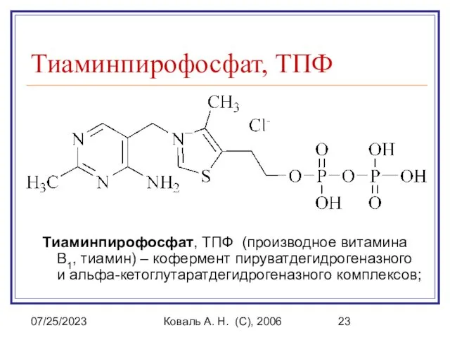 07/25/2023 Коваль А. Н. (C), 2006 Тиаминпирофосфат, ТПФ Тиаминпирофосфат, ТПФ (производное