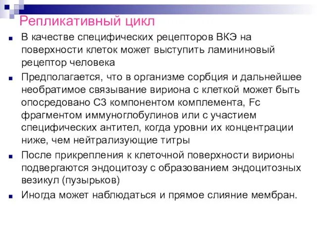 Репликативный цикл В качестве специфических рецепторов ВКЭ на поверхности клеток может