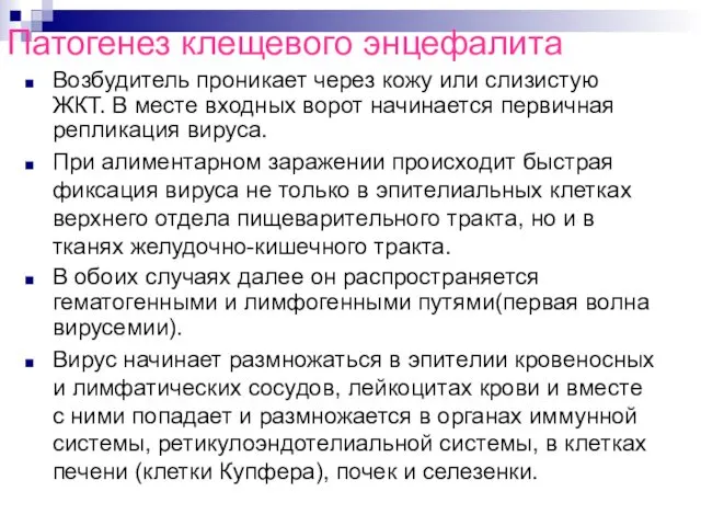 Патогенез клещевого энцефалита Возбудитель проникает через кожу или слизистую ЖКТ. В