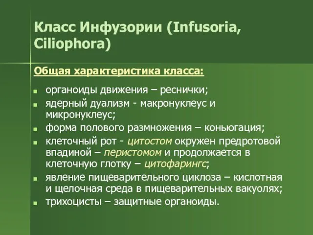 Класс Инфузории (Infusoria, Ciliophora) Общая характеристика класса: органоиды движения – реснички;
