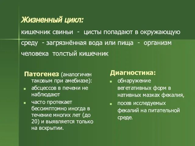 Жизненный цикл: кишечник свиньи - цисты попадают в окружающую среду -