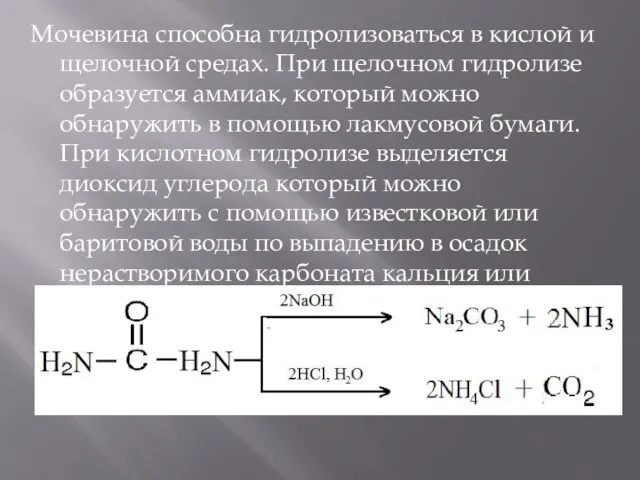 Мочевина способна гидролизоваться в кислой и щелочной средах. При щелочном гидролизе