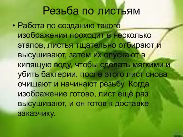 Резьба по листьям Работа по созданию такого изображения проходит в несколько