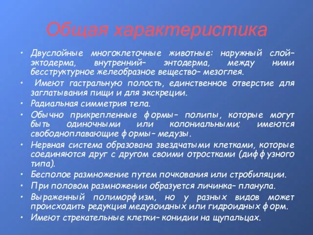 Общая характеристика Двуслойные многоклеточные животные: наружный слой– эктодерма, внутренний– энтодерма, между