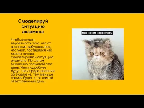 Смоделируй ситуацию экзамена Чтобы снизить вероятность того, что от волнения забудешь