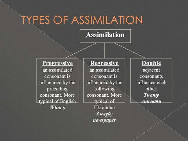 TYPES OF ASSIMILATION