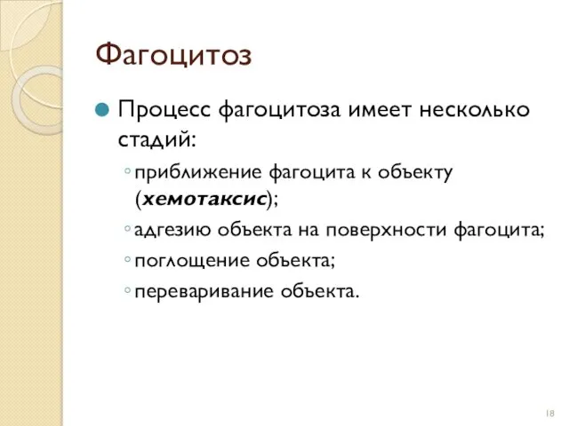 Фагоцитоз Процесс фагоцитоза имеет несколько стадий: приближение фагоцита к объекту (хемотаксис);