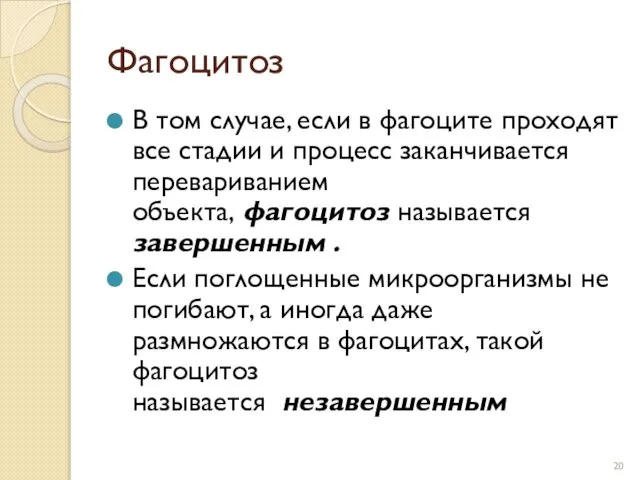 Фагоцитоз В том случае, если в фагоците проходят все стадии и