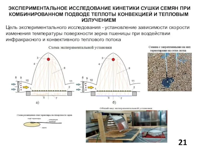 ЭКСПЕРИМЕНТАЛЬНОЕ ИССЛЕДОВАНИЕ КИНЕТИКИ СУШКИ СЕМЯН ПРИ КОМБИНИРОВАННОМ ПОДВОДЕ ТЕПЛОТЫ КОНВЕКЦИЕЙ И