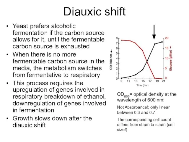 Diauxic shift Yeast prefers alcoholic fermentation if the carbon source allows