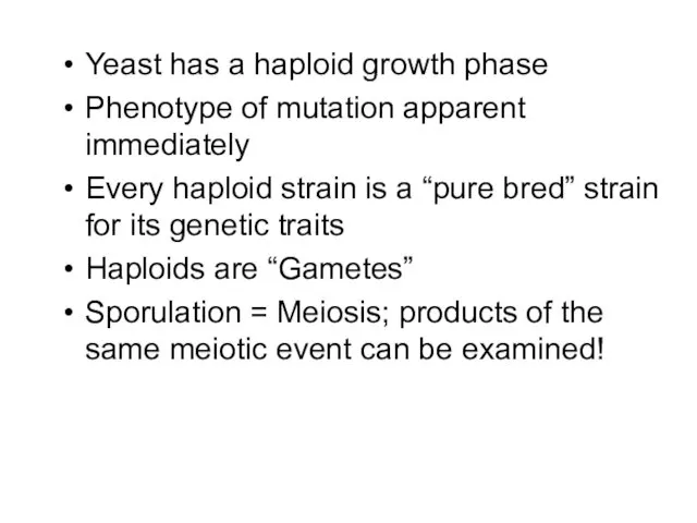 Yeast has a haploid growth phase Phenotype of mutation apparent immediately