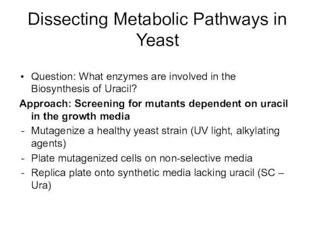 Dissecting Metabolic Pathways in Yeast Question: What enzymes are involved in