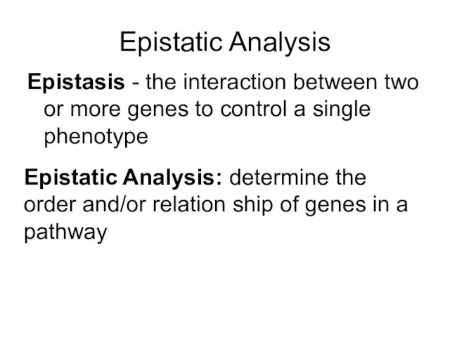 Epistatic Analysis Epistasis - the interaction between two or more genes