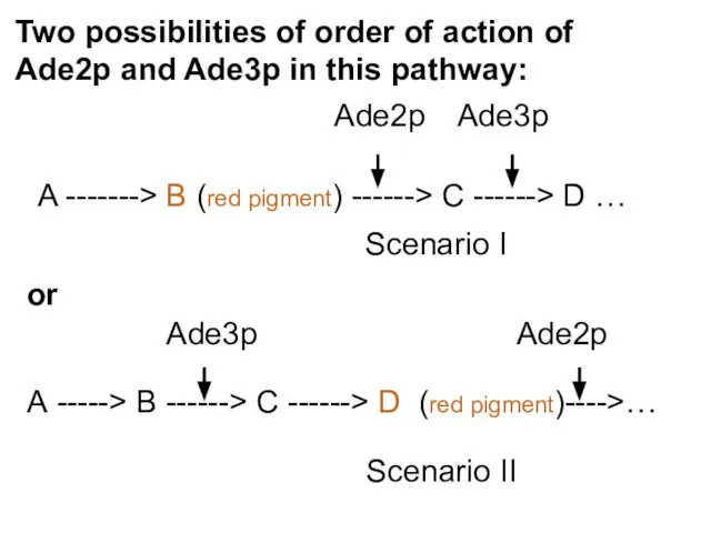 Scenario I Scenario II Two possibilities of order of action of