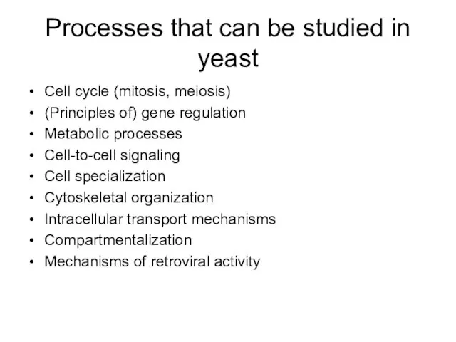 Processes that can be studied in yeast Cell cycle (mitosis, meiosis)