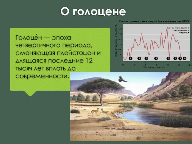 О голоцене Голоце́н — эпоха четвертичного периода, сменяющая плейстоцен и длящаяся