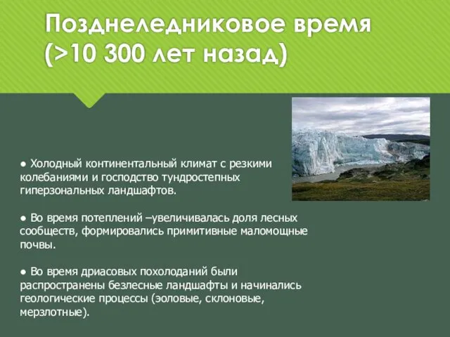 Позднеледниковое время (>10 300 лет назад) ● Холодный континентальный климат с