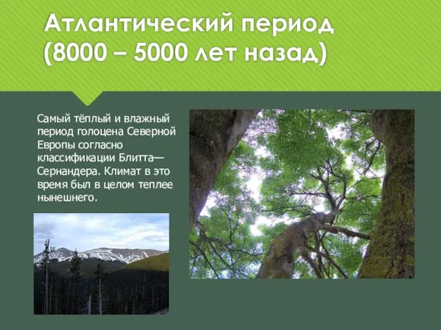 Атлантический период (8000 – 5000 лет назад) Самый тёплый и влажный