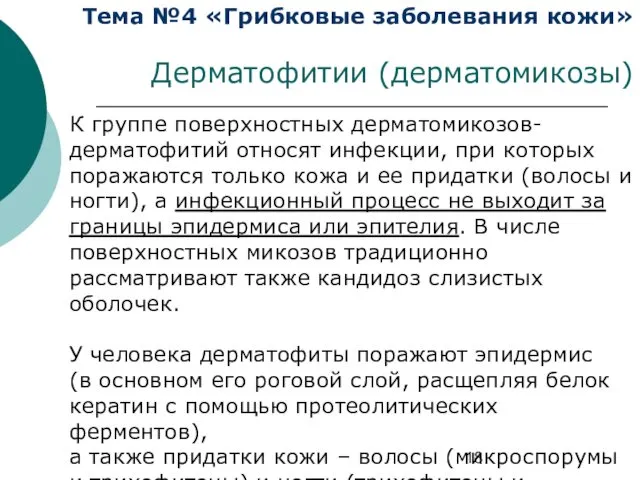 Тема №4 «Грибковые заболевания кожи» Дерматофитии (дерматомикозы) К группе поверхностных дерматомикозов-дерматофитий